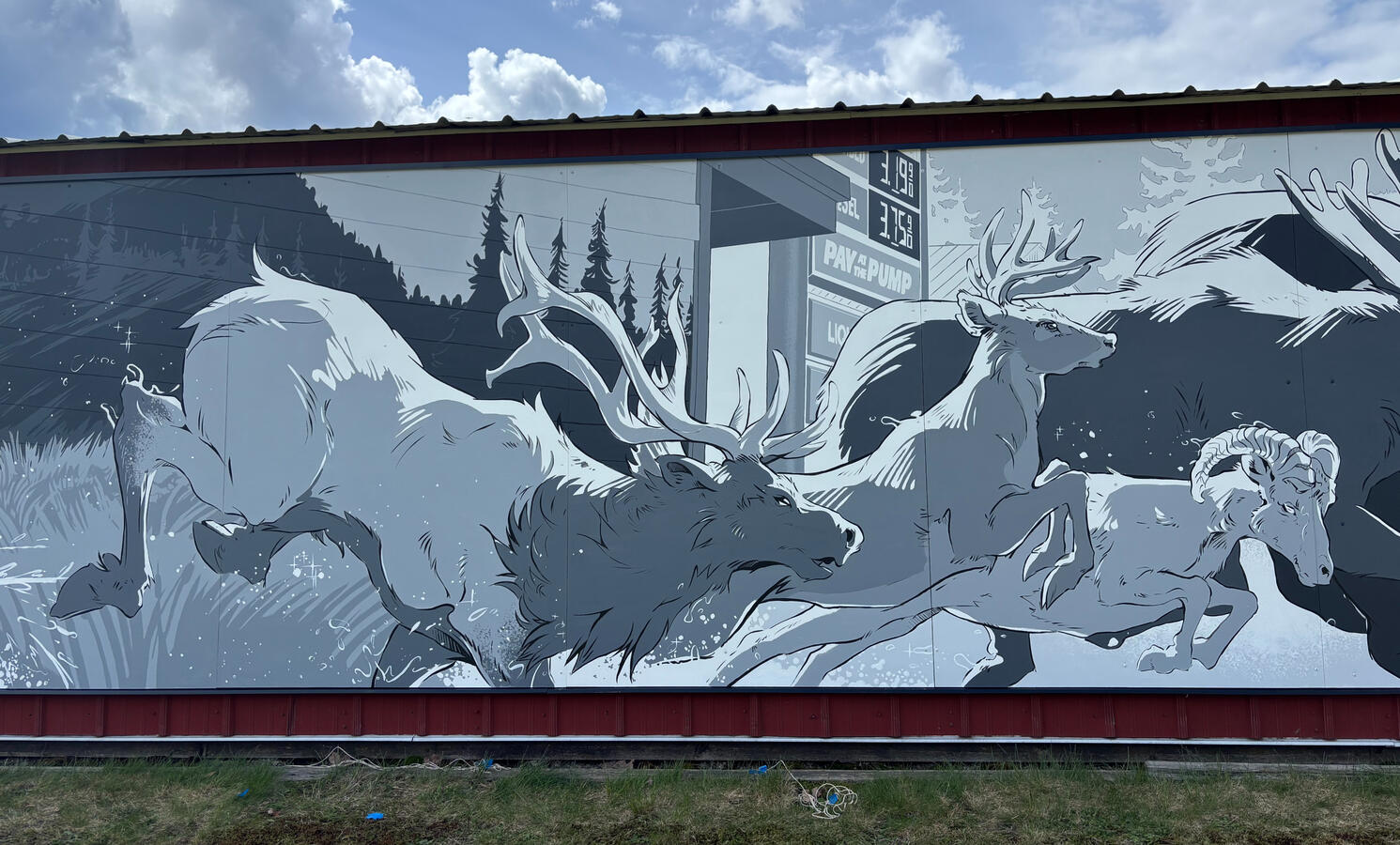 Elk &amp; Whitetail