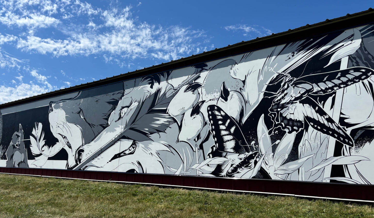 Fox, Coyote &amp; Camas